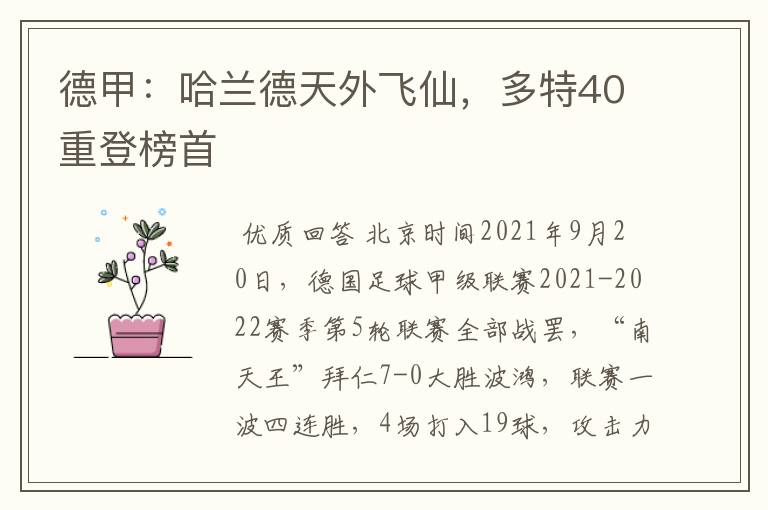 德甲：哈兰德天外飞仙，多特40重登榜首