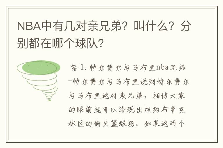 NBA中有几对亲兄弟？叫什么？分别都在哪个球队？