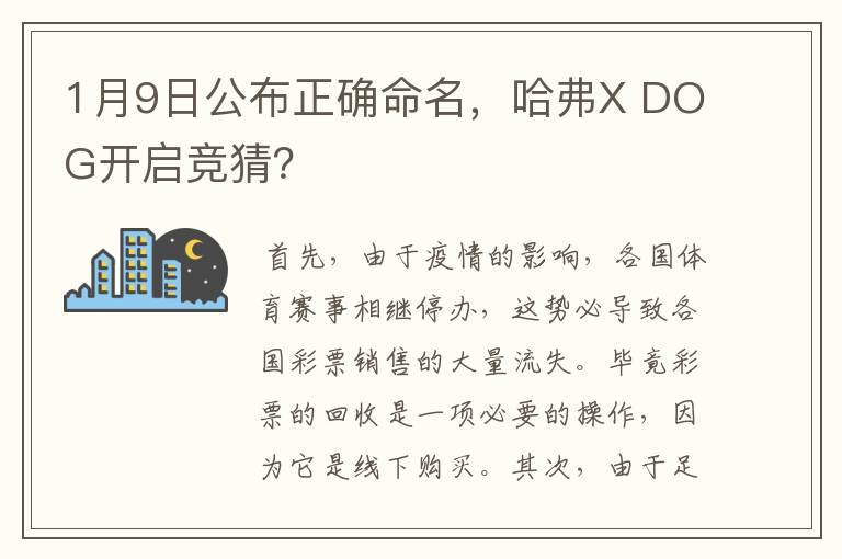 1月9日公布正确命名，哈弗X DOG开启竞猜？