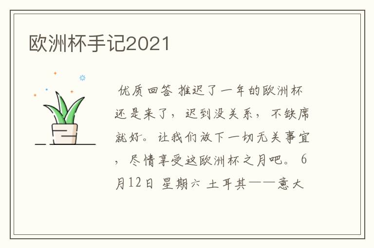 欧洲杯手记2021