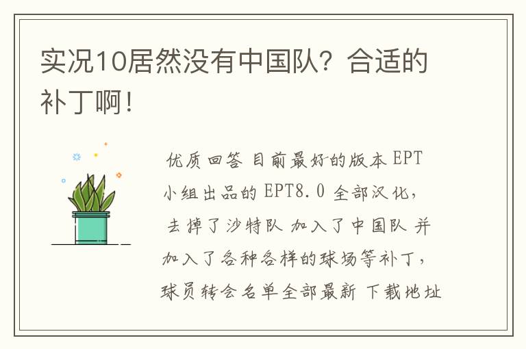 实况10居然没有中国队？合适的补丁啊！