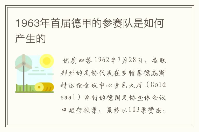 1963年首届德甲的参赛队是如何产生的