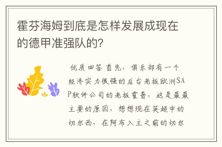 霍芬海姆到底是怎样发展成现在的德甲准强队的？