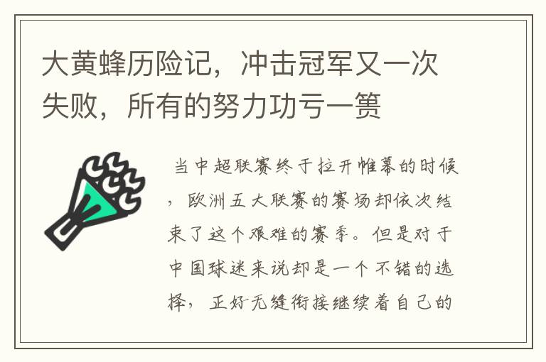 大黄蜂历险记，冲击冠军又一次失败，所有的努力功亏一篑