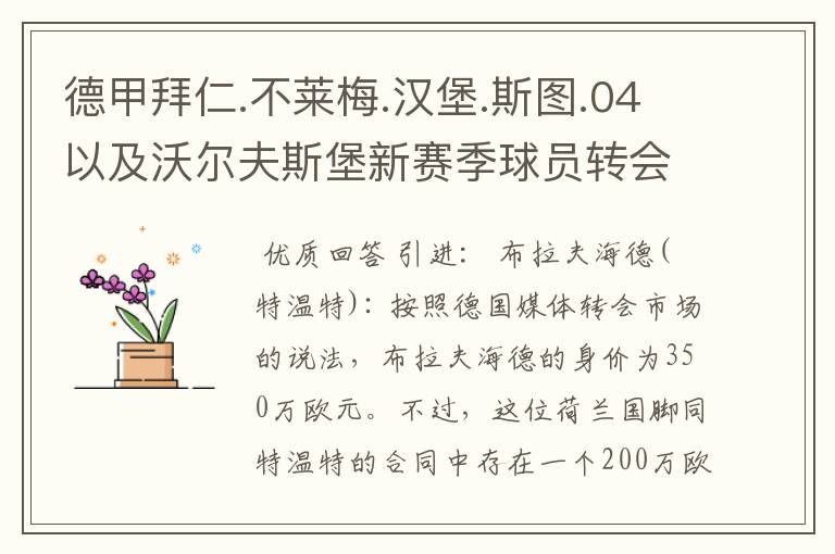 德甲拜仁.不莱梅.汉堡.斯图.04以及沃尔夫斯堡新赛季球员转会一览