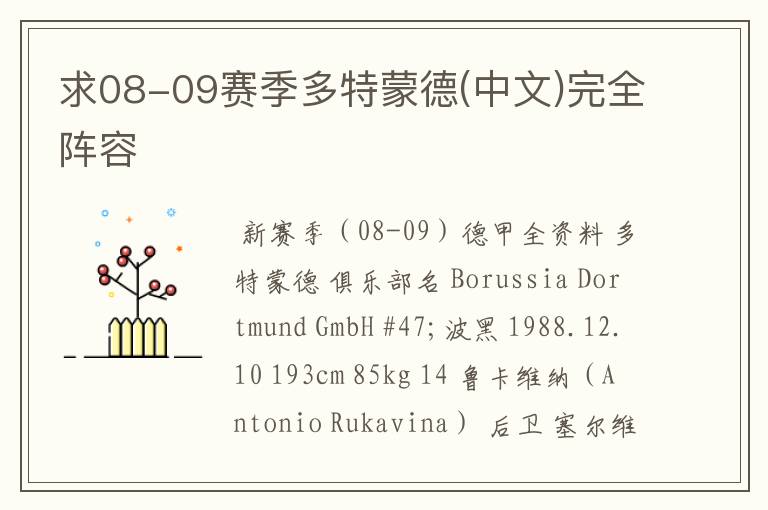 求08-09赛季多特蒙德(中文)完全阵容