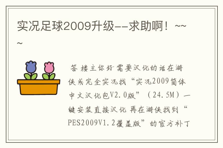 实况足球2009升级--求助啊！~~~