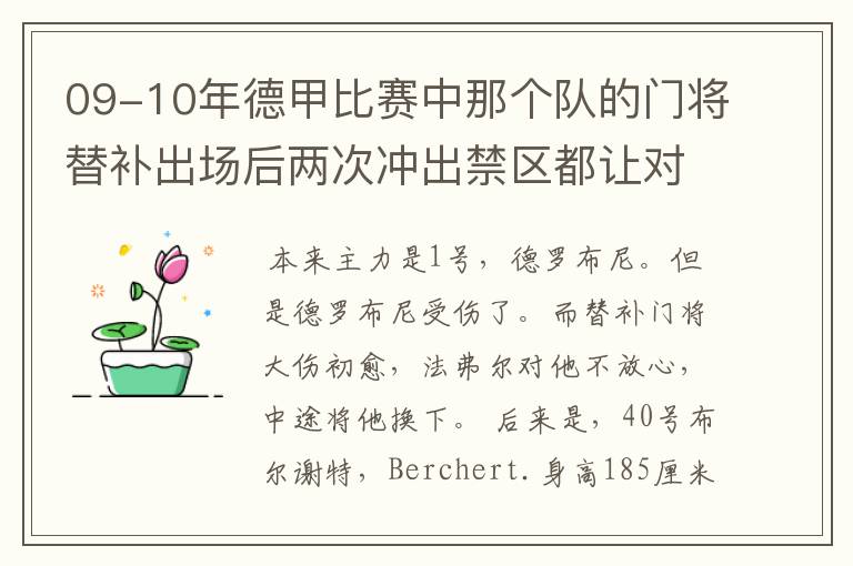 09-10年德甲比赛中那个队的门将替补出场后两次冲出禁区都让对方进球！