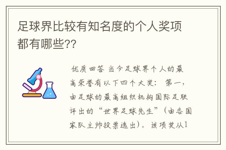 足球界比较有知名度的个人奖项都有哪些??