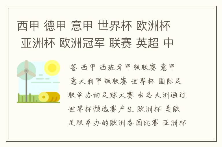 西甲 德甲 意甲 世界杯 欧洲杯 亚洲杯 欧洲冠军 联赛 英超 中超  分别是什么意思啊？