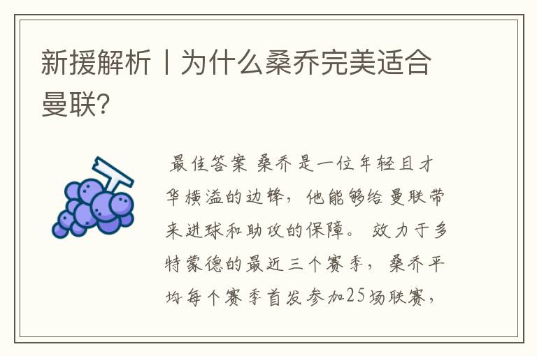 新援解析丨为什么桑乔完美适合曼联？