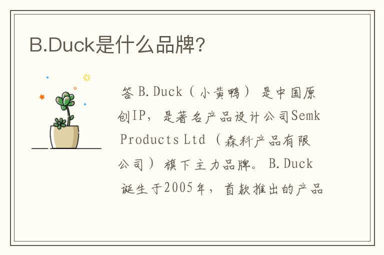 B.Duck是什么品牌?