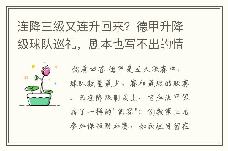 连降三级又连升回来？德甲升降级球队巡礼，剧本也写不出的情节