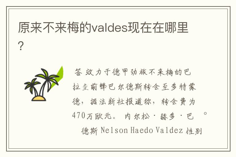 原来不来梅的valdes现在在哪里？