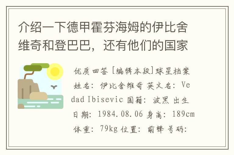 介绍一下德甲霍芬海姆的伊比舍维奇和登巴巴，还有他们的国家队履历