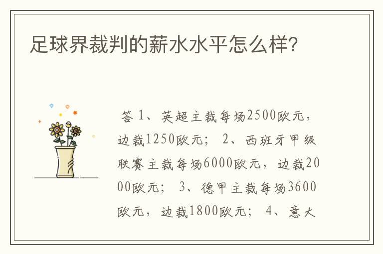 足球界裁判的薪水水平怎么样？