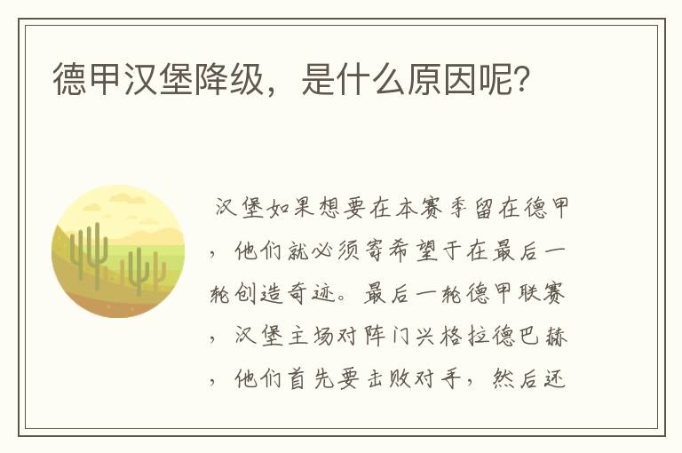 德甲汉堡降级，是什么原因呢？