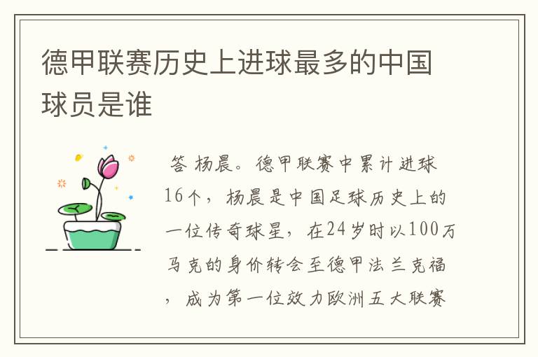 德甲联赛历史上进球最多的中国球员是谁