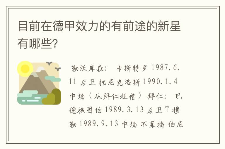 目前在德甲效力的有前途的新星有哪些？