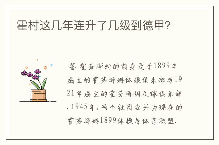 霍村这几年连升了几级到德甲？