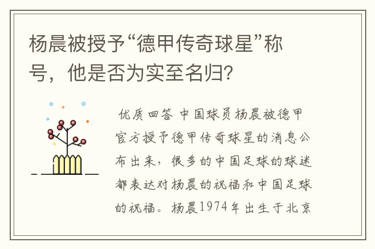 杨晨被授予“德甲传奇球星”称号，他是否为实至名归？