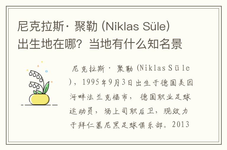 尼克拉斯· 聚勒 (Niklas Süle)出生地在哪？当地有什么知名景点？