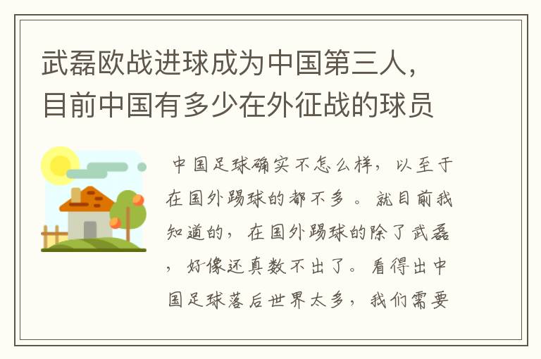 武磊欧战进球成为中国第三人，目前中国有多少在外征战的球员？