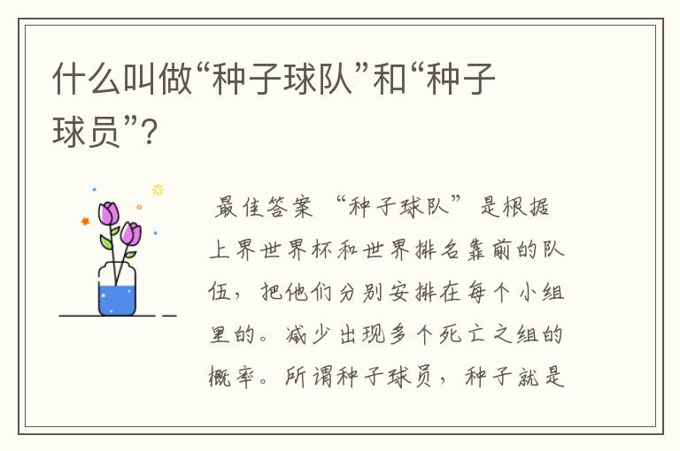 什么叫做“种子球队”和“种子球员”？