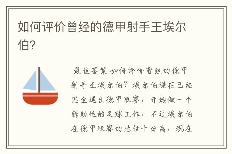 如何评价曾经的德甲射手王埃尔伯？