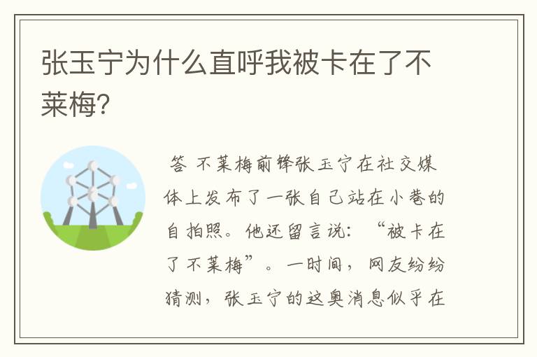 张玉宁为什么直呼我被卡在了不莱梅？