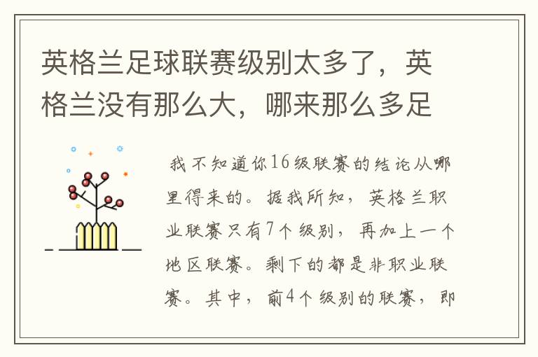 英格兰足球联赛级别太多了，英格兰没有那么大，哪来那么多足球场地替啊，哪来那么多的人踢足球啊。