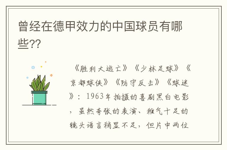 曾经在德甲效力的中国球员有哪些?？