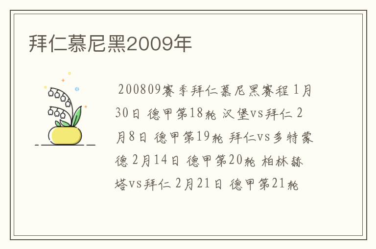 拜仁慕尼黑2009年