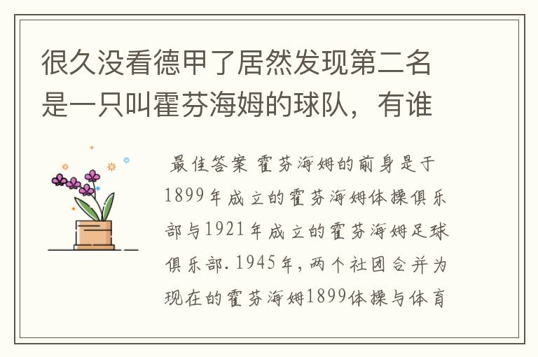 很久没看德甲了居然发现第二名是一只叫霍芬海姆的球队，有谁知道吗