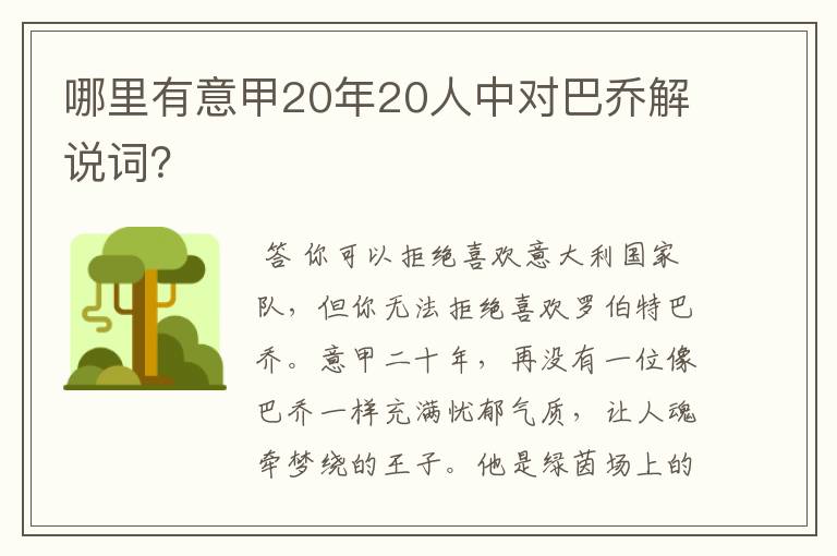 哪里有意甲20年20人中对巴乔解说词？