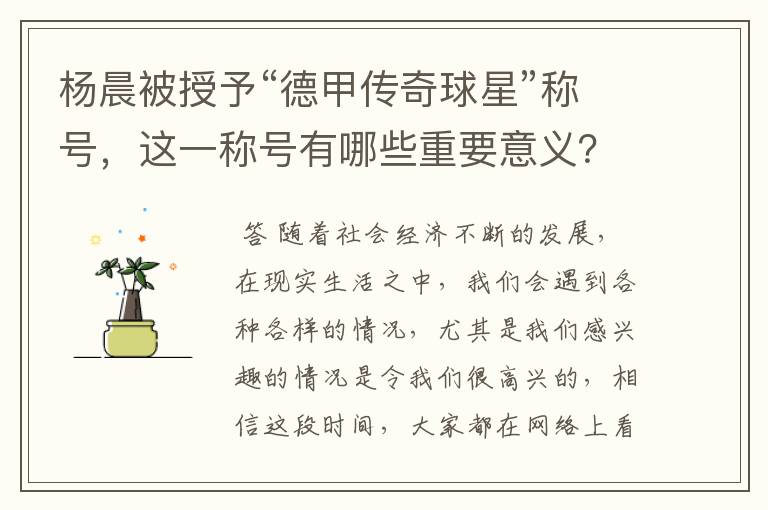 杨晨被授予“德甲传奇球星”称号，这一称号有哪些重要意义？