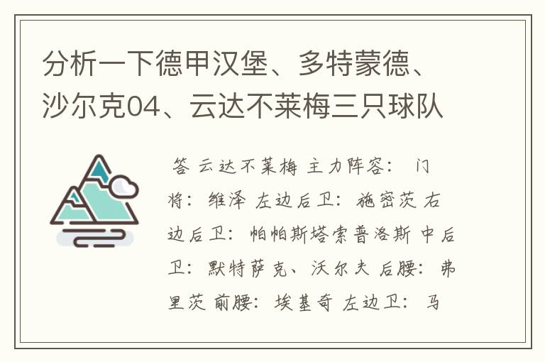 分析一下德甲汉堡、多特蒙德、沙尔克04、云达不莱梅三只球队的人员打法和阵型