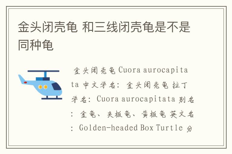 金头闭壳龟 和三线闭壳龟是不是同种龟