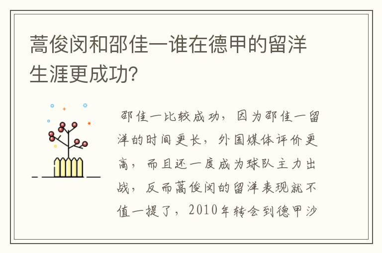 蒿俊闵和邵佳一谁在德甲的留洋生涯更成功？