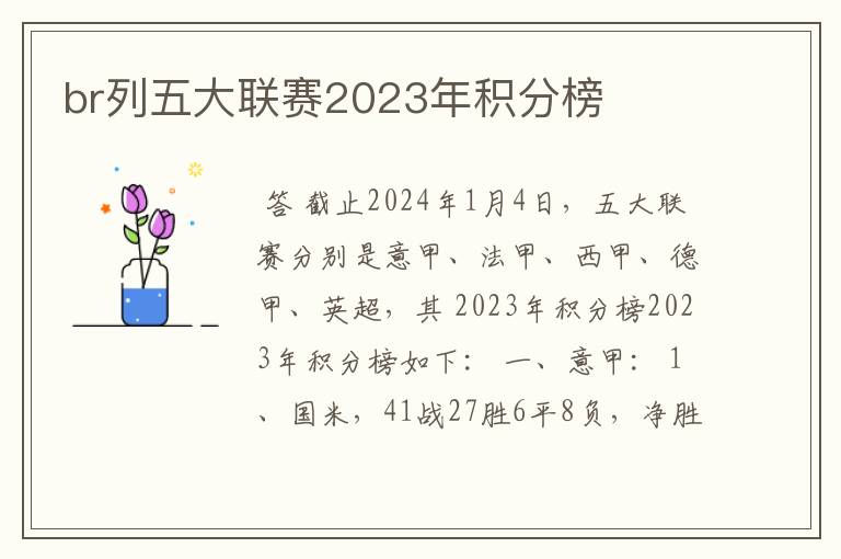 br列五大联赛2023年积分榜