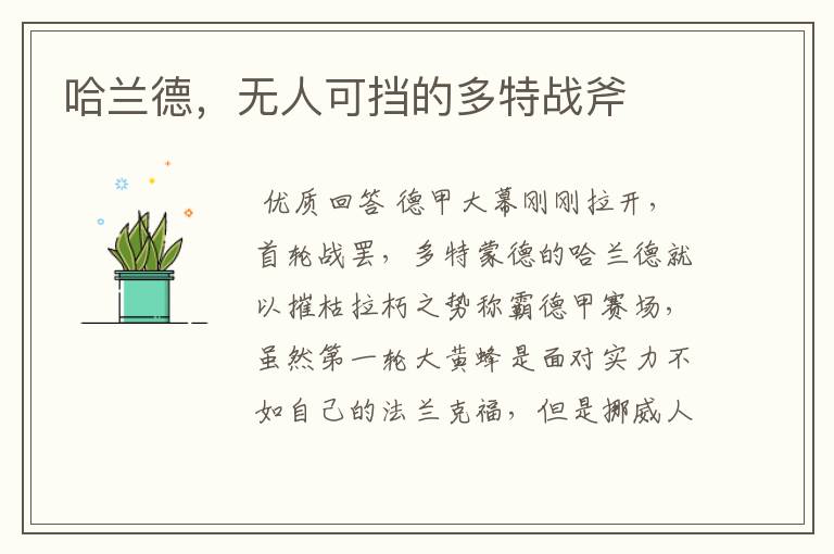 哈兰德，无人可挡的多特战斧