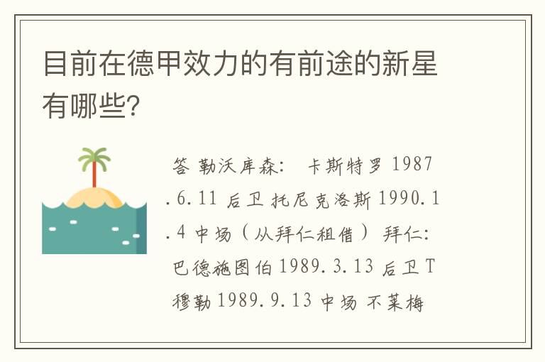 目前在德甲效力的有前途的新星有哪些？