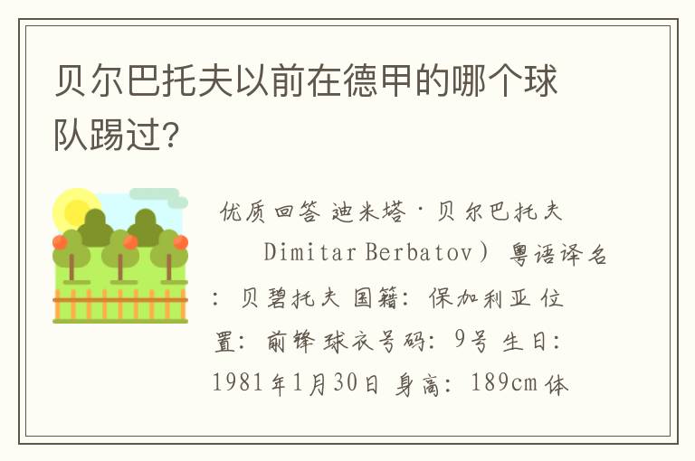 贝尔巴托夫以前在德甲的哪个球队踢过?