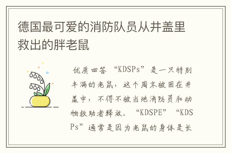 德国最可爱的消防队员从井盖里救出的胖老鼠