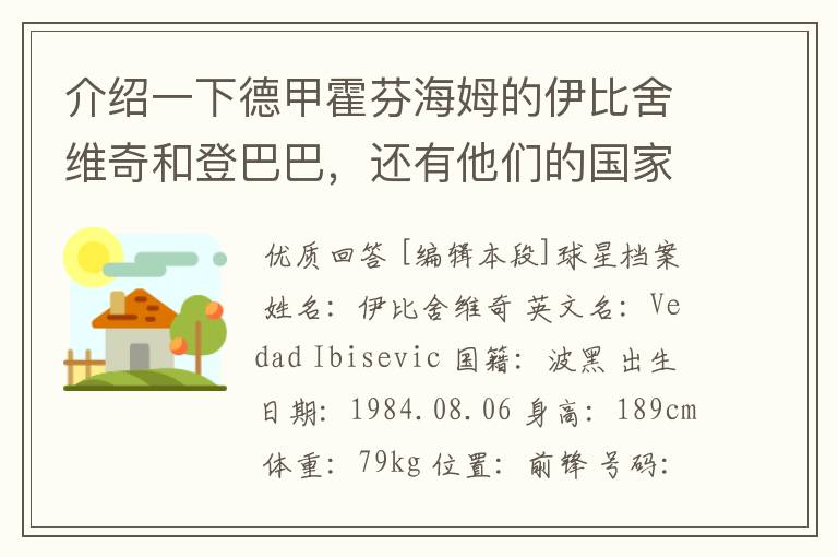 介绍一下德甲霍芬海姆的伊比舍维奇和登巴巴，还有他们的国家队履历