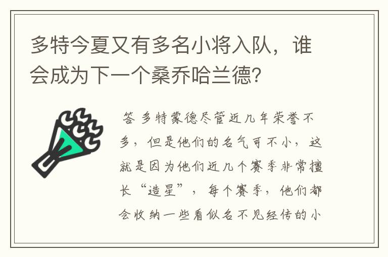 多特今夏又有多名小将入队，谁会成为下一个桑乔哈兰德？