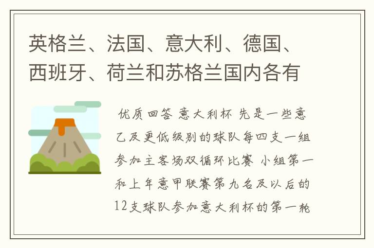 英格兰、法国、意大利、德国、西班牙、荷兰和苏格兰国内各有什么杯赛？