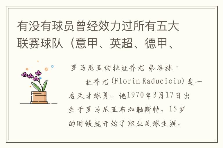 有没有球员曾经效力过所有五大联赛球队（意甲、英超、德甲、西甲、法甲），有哪些？