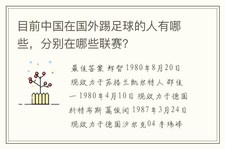 目前中国在国外踢足球的人有哪些，分别在哪些联赛？