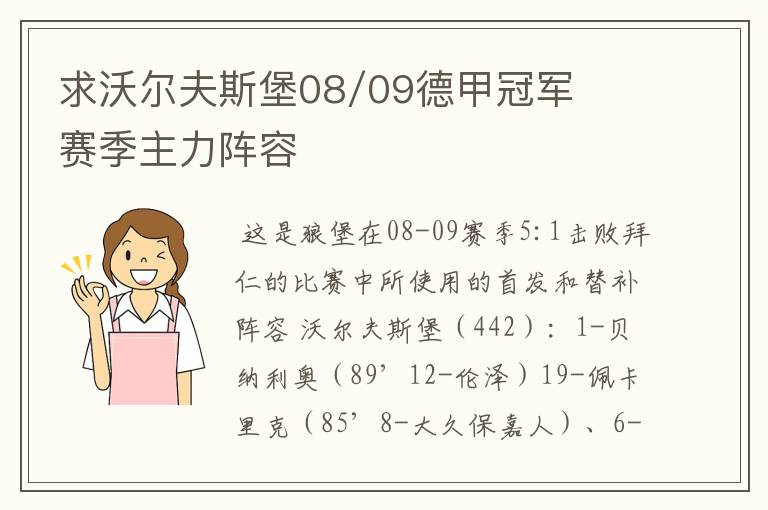 求沃尔夫斯堡08/09德甲冠军赛季主力阵容